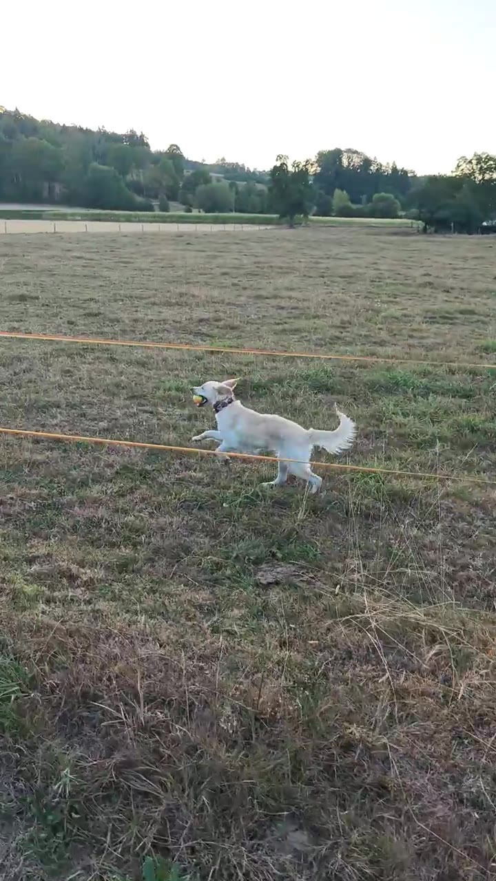 Yuna und ihre Ball Liebe